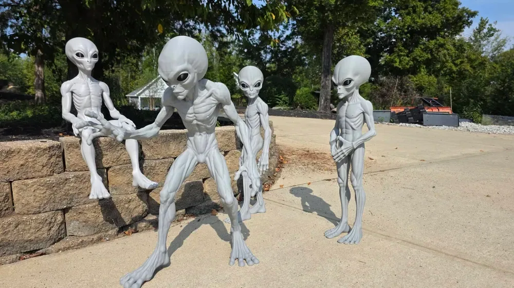 SERIE 3 PIES - EL ABDUCTOR 1947 ELLOS GRISES EXTRANJEROS, vista 3