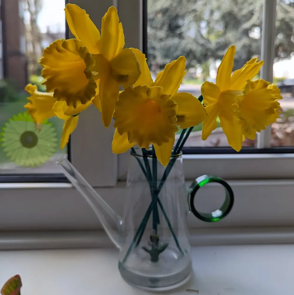 Tallo de flor de narciso (flor real escaneada en 3D), vista 1