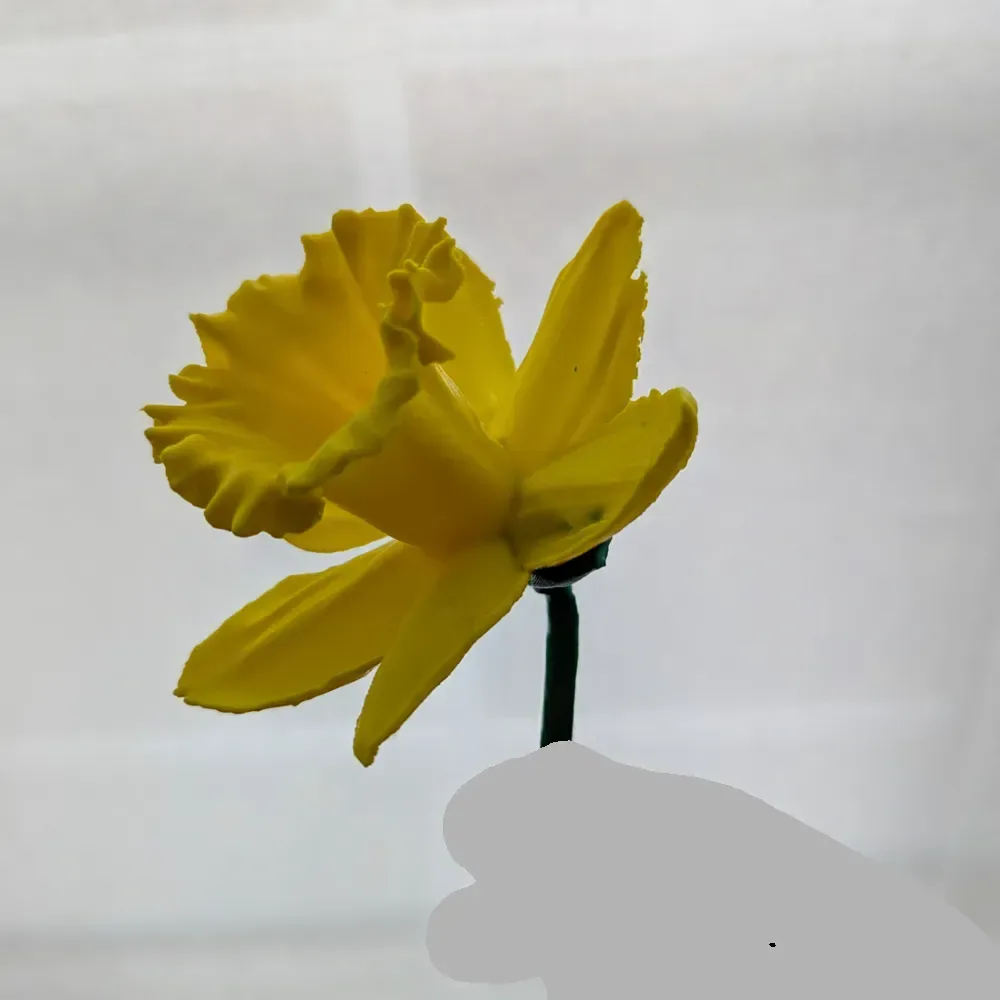 Tallo de flor de narciso (flor real escaneada en 3D), vista 2