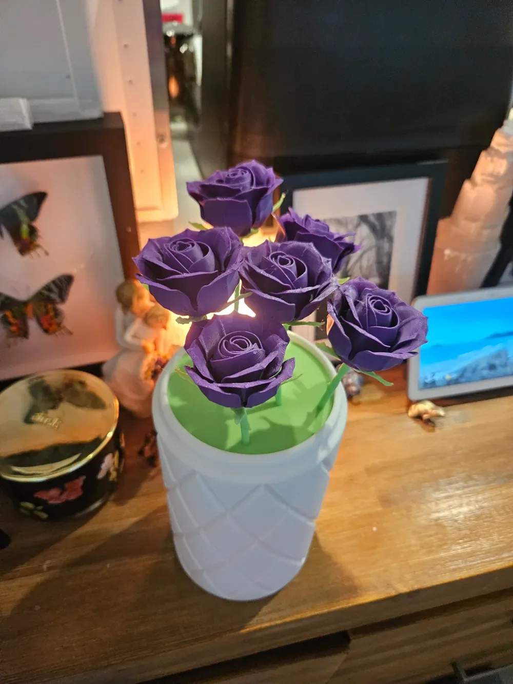 6 rosas en una maceta, vista 1