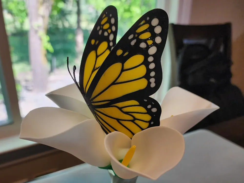 mariposa monarca, vista 1