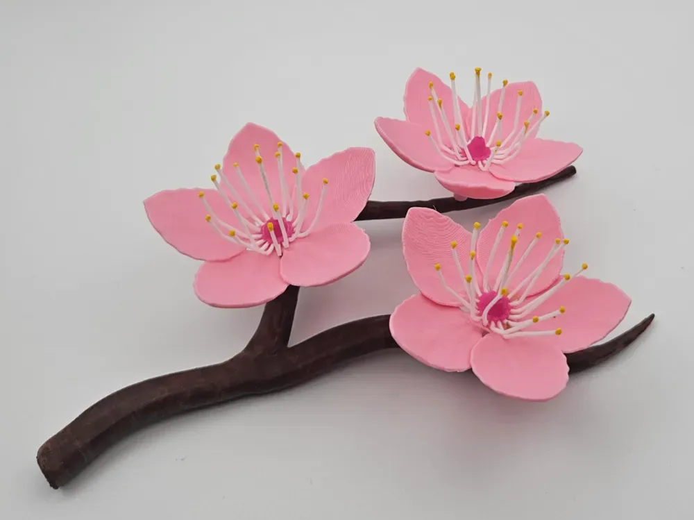 Rama de flor de cerezo, vista 1