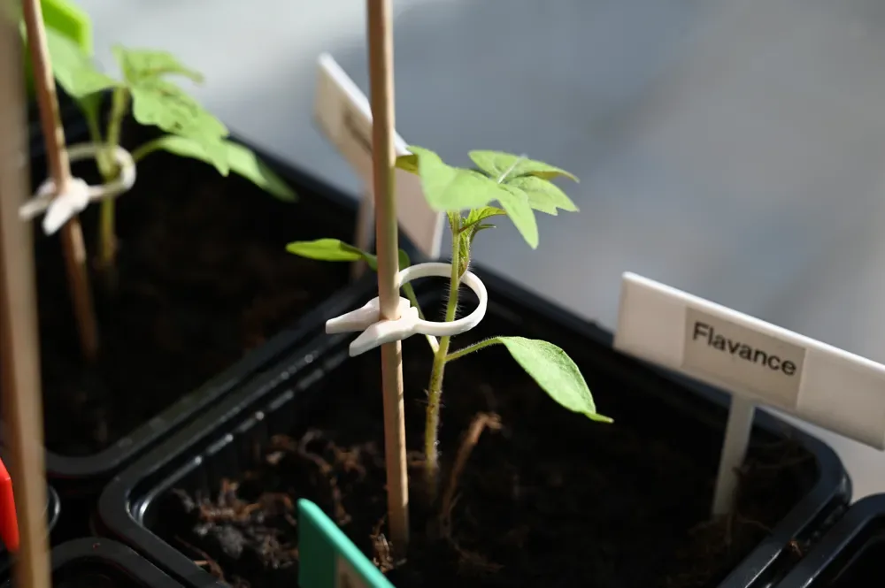 PflanzenClip · Clip para plantas para impresión 3D, vista 1