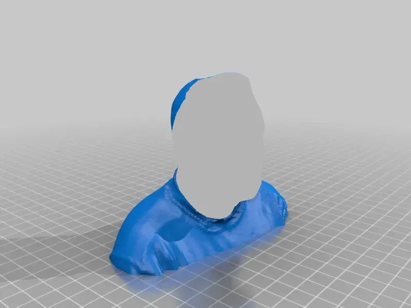 Toche Buste 3D Delhougne 3Dscan (con Iphone4), vista 1