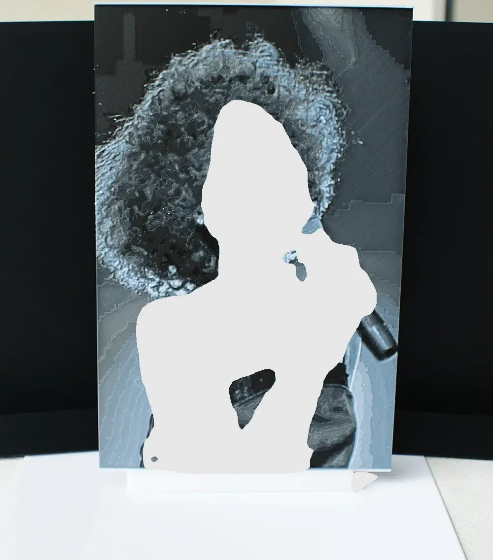 Whitney Houston, vista 2